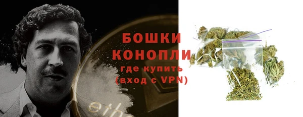 PSILOCYBIN Михайловск