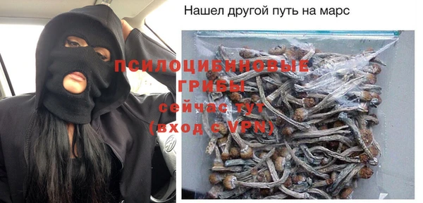 PSILOCYBIN Михайловск